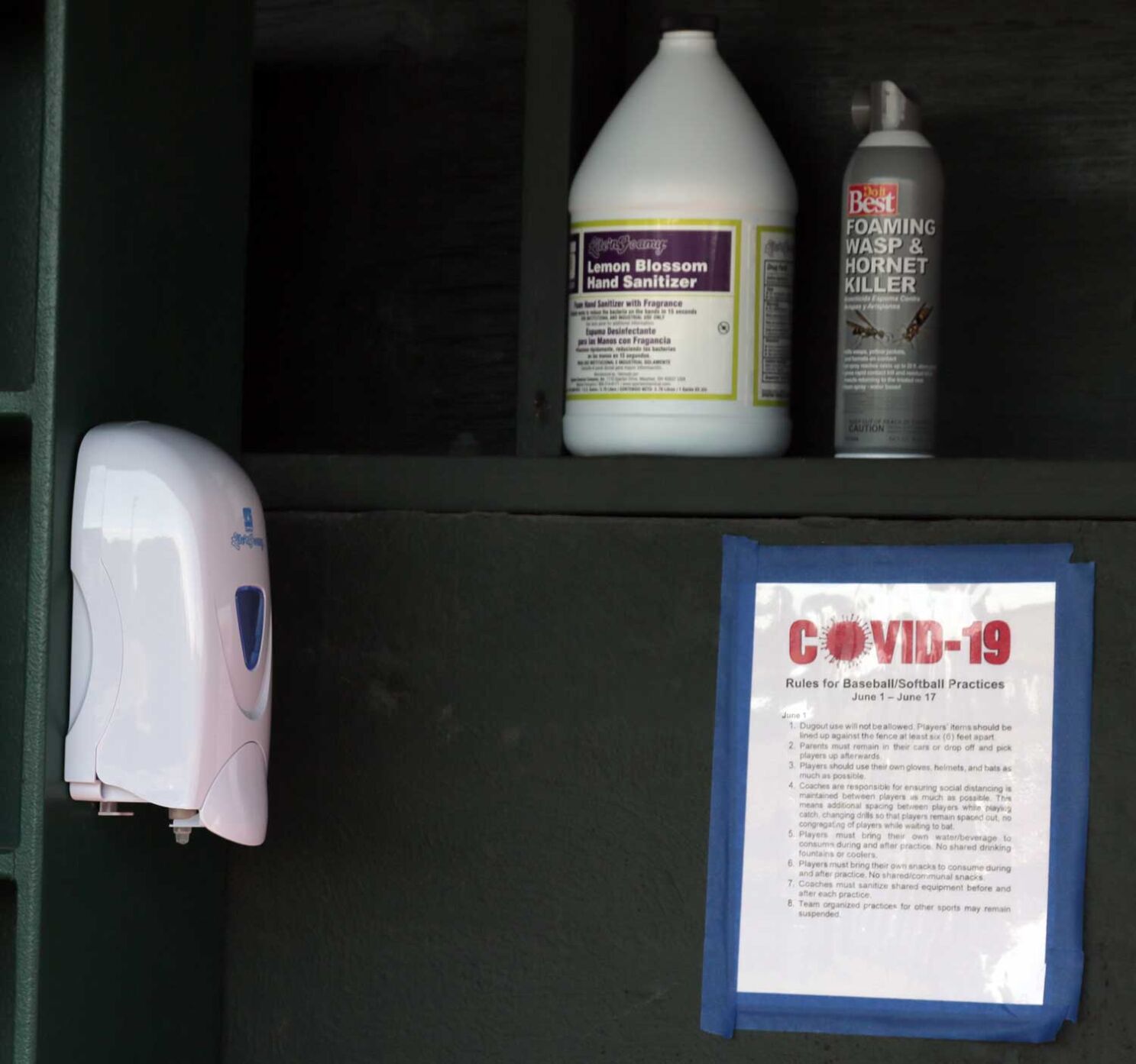 Dugout sanitizer